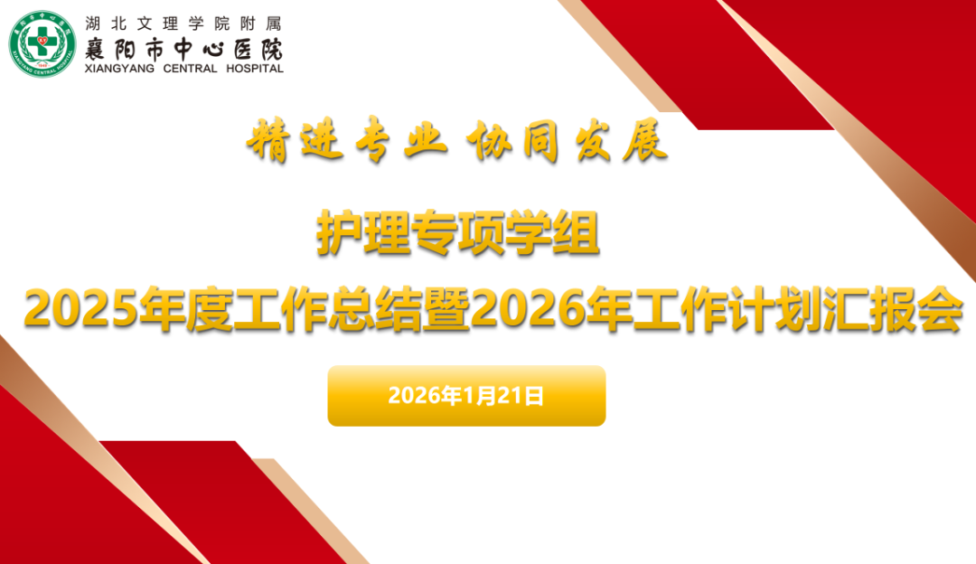 深耕专业赋能护理,凝心聚力共绘新篇——襄阳市中心医院护理部召开2025年度护理学组工作总结暨2026年工作计划汇报会 深耕专业赋能护理,凝心聚力共绘新篇——襄阳市中心医院护理部召开2025年度护理学组工作总结暨2026年工作计划汇报会